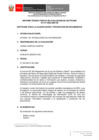 Vista preliminar de documento IT 017-2022