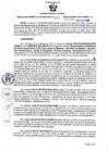 Vista preliminar de documento Resolución Gerencial Sub Regional Nº 29