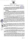 Vista preliminar de documento Resolución Gerencial Sub Regional Nº 31