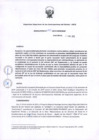 Vista preliminar de documento Resolucion N° 223-2019-OSCE-DAR