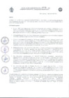 Vista preliminar de documento RAA_008_2023.pdf.pdf