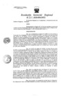 Vista preliminar de documento Resolucion de Gerencia 207