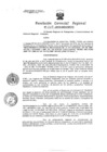 Vista preliminar de documento Resolucion de Gerencia 208