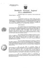 Vista preliminar de documento Resolucion de Gerencia 211