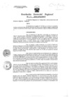 Vista preliminar de documento Resolucion de Gerencia 196
