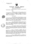 Vista preliminar de documento Resolucion de Gerencia 163