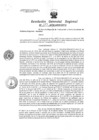 Vista preliminar de documento Resolucion de Gerencia 173