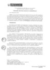 Vista preliminar de documento RDG 011-2019 PO Tejido en Telar Artesanal