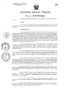 Vista preliminar de documento Resolucion de Gerencia 124