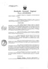 Vista preliminar de documento Resolucion de Gerencia 115