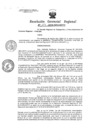Vista preliminar de documento Resolucion de Gerencia 113