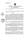 Vista preliminar de documento Resolucion de Gerencia 109