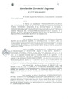 Vista preliminar de documento Resolucion de Gerencia 103