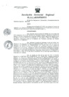 Vista preliminar de documento Resolucion de Gerencia 101
