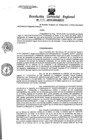 Vista preliminar de documento Resolucion de Gerencia 091
