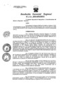 Vista preliminar de documento Resolucion de Gerencia 046