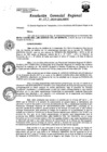 Vista preliminar de documento Resolucion de Gerencia 033