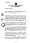 Vista preliminar de documento Resolucion de Gerencia 006