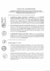 Vista preliminar de documento C-907-2017-VIVIENDA SEDA JULIACA