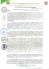 Vista preliminar de documento RESOLUCION DE ALCALDIA 031-2023.pdf