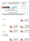 Vista preliminar de documento DIRECTIVA - ACTIVOS INTANGIBLES - vf[R][R] (1)[R][R][R] R VF 1.pdf