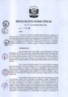 Vista preliminar de documento RD-163-2019