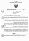 Vista preliminar de documento RD 0257-2023.pdf