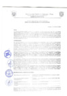 Vista preliminar de documento Resolución de Gerencia N° 0008-2022