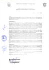 Vista preliminar de documento Resolución de Gerencia N° 0007-2022