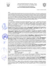 Vista preliminar de documento Resolución de Gerencia N° 0048-2022