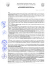 Vista preliminar de documento Resolución de Gerencia N° 0081-2022