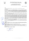 Vista preliminar de documento Resolución de Gerencia N° 0095-2022