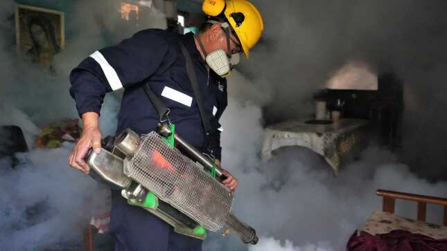 Minsa: inspeccionan más de 25 mil viviendas para prevenir el dengue en distritos de Lima Metropolitana