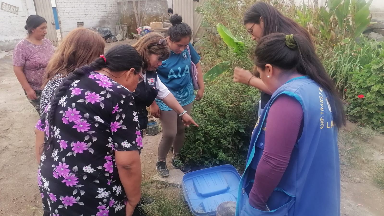 Minsa: inspeccionan más de 25 mil viviendas para prevenir el dengue en distritos de Lima Metropolitana