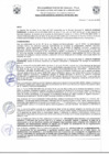 Vista preliminar de documento Resolución de Gerencia N° 0196-2022