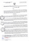 Vista preliminar de documento RD N°017.pdf
