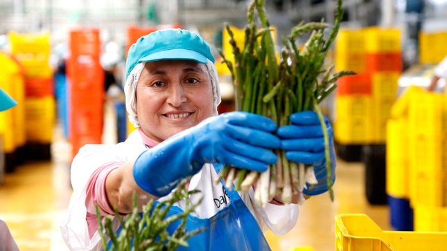 Imagen referencial "Las mujeres representan el 42.9% del total de emprendedores"