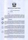 Vista preliminar de documento RD-197-2019