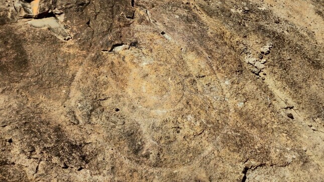 Ministerio de Cultura declaró Patrimonio Cultural de la Nación a al Sitio Arqueológico “Petroglifos de Caunarapa” de Huánuco