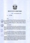 Vista preliminar de documento RD-222-2019