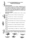 Vista preliminar de documento Acta de Sesión Extraordinaria N° 010-2008-CR/GRL