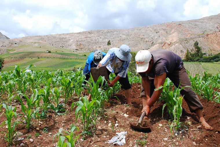Diálogos Agro Rurales