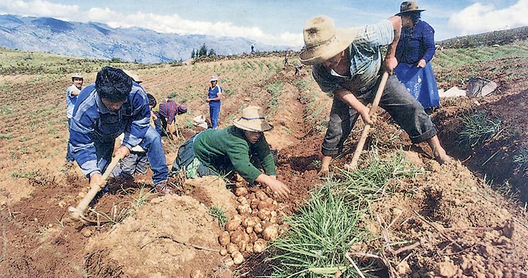 Diálogos Agro Rurales