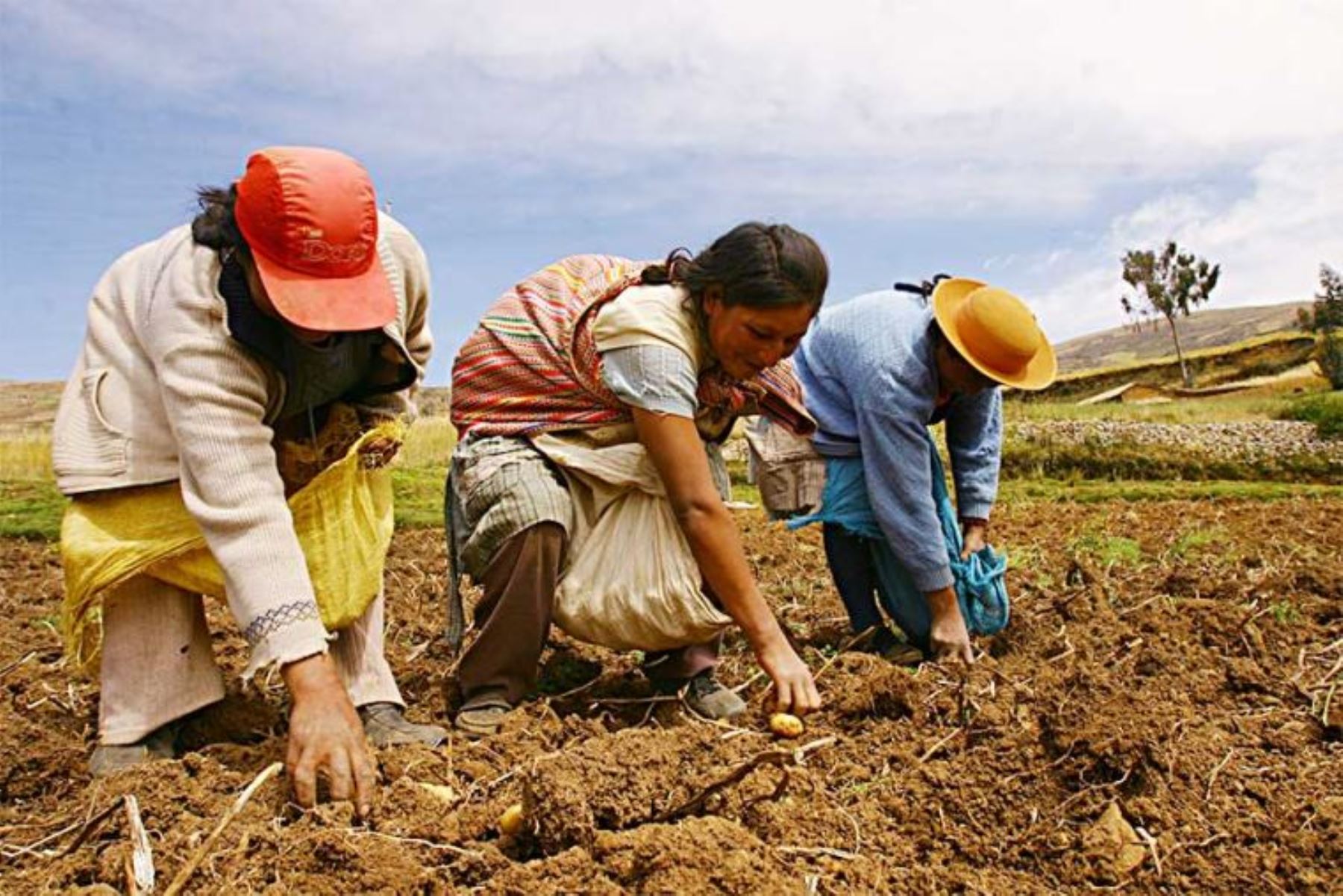 Diálogos Agro Rurales