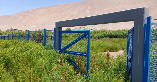 Contraloría advirtió que Municipalidad de Jorge Basadre no opera planta de aguas residuales en Piñapa