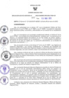 Vista preliminar de documento RES N°335-2023-GR