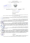 Vista preliminar de documento Resolución Directoral. Nº 0636 - 2023 