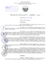 Vista preliminar de documento Resolución .Directoral Nº 0645 - 2023 