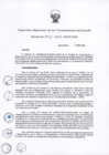 Vista preliminar de documento Resolución N° 061-2019-OSCE/SGE