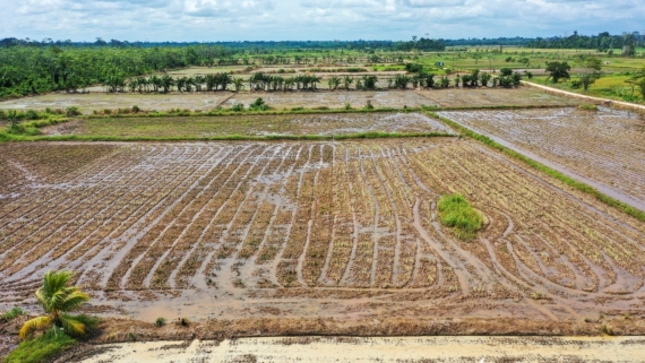 DRENAJE FLUVIAL